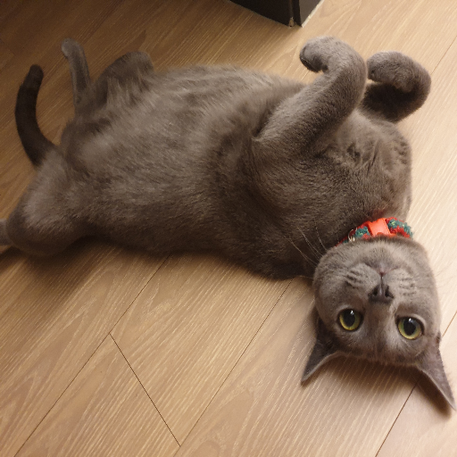 유저 프로필 이미지