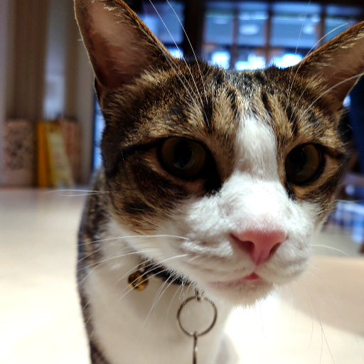 유저 프로필 이미지