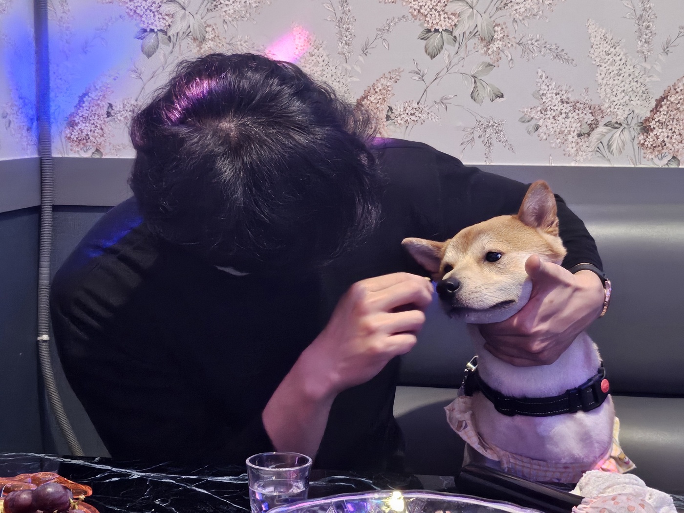 유저 프로필 이미지