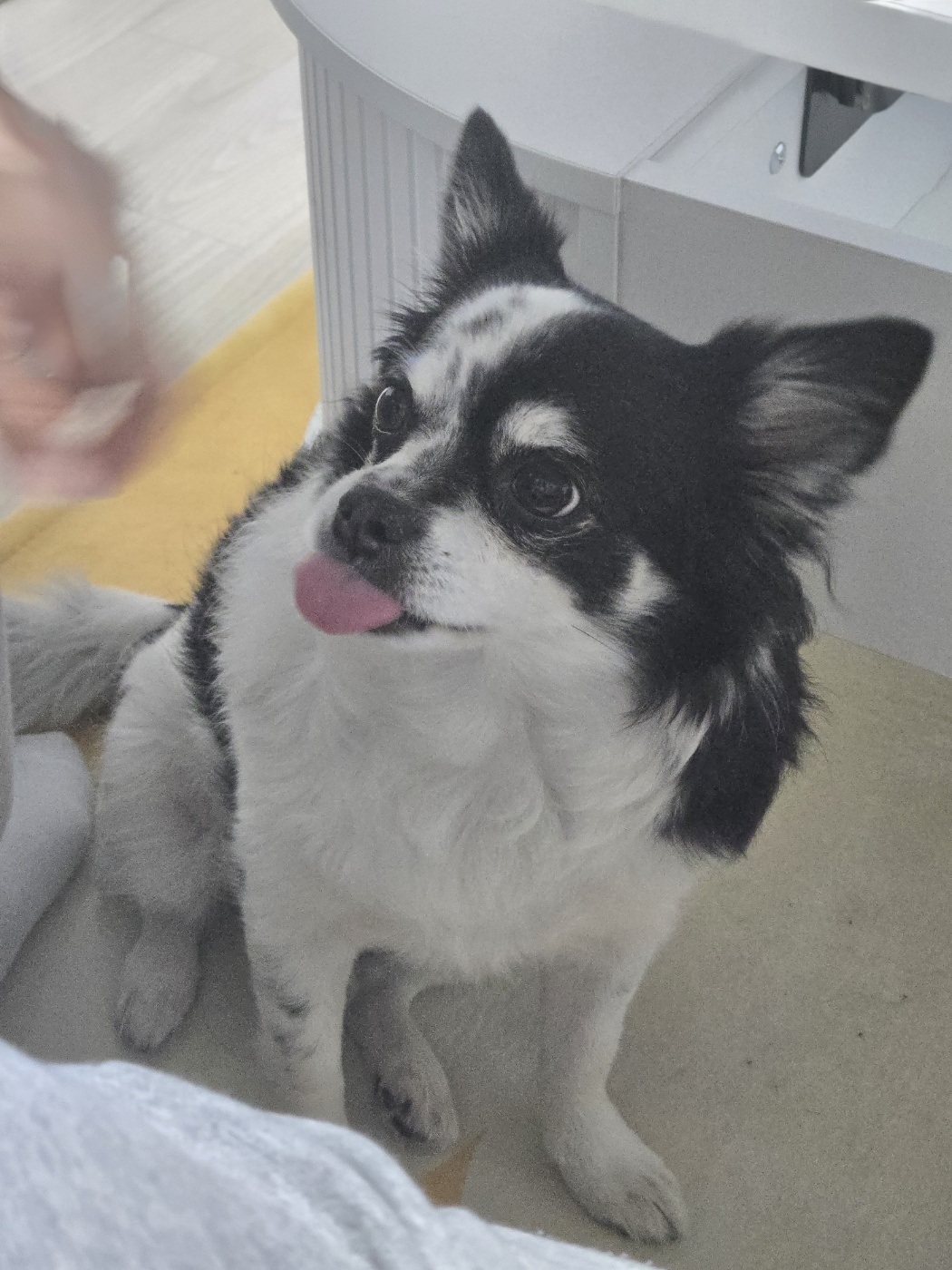 유저 프로필 이미지