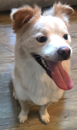 유저 프로필 이미지