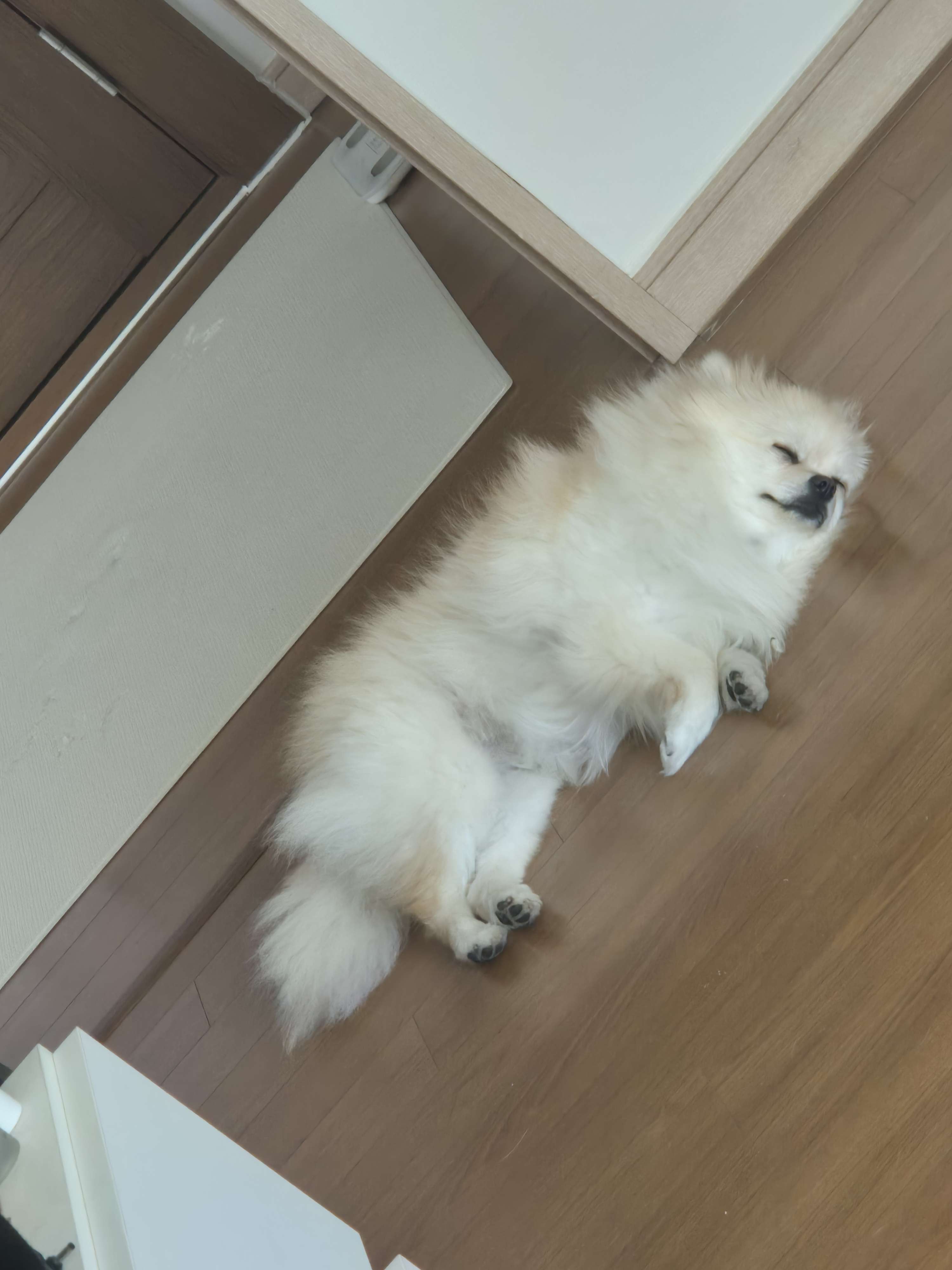玩家头像图片
