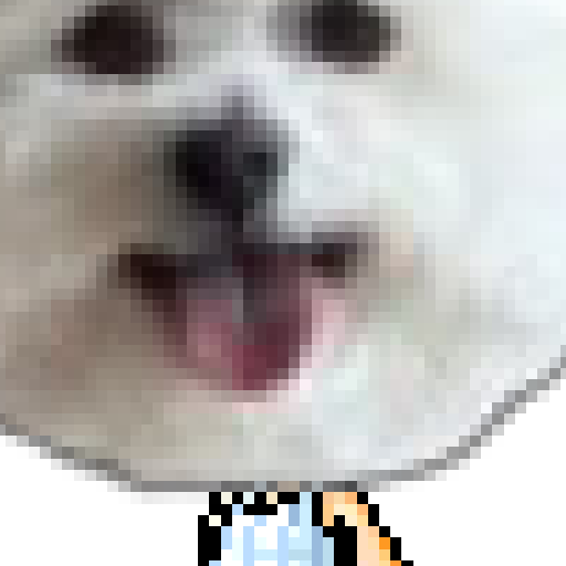 유저 프로필 이미지