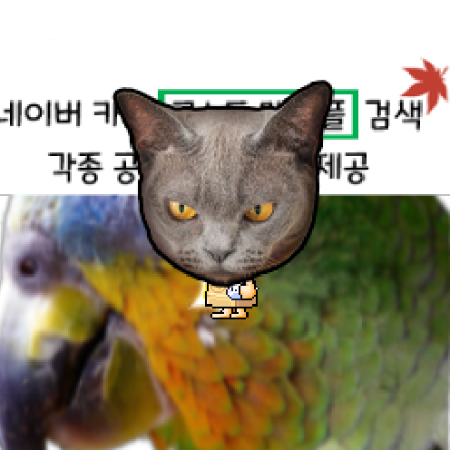 아바타