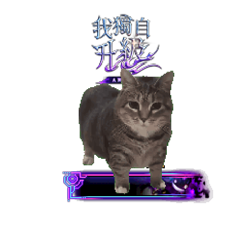 造型