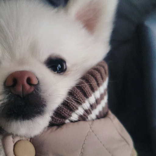 유저 프로필 이미지