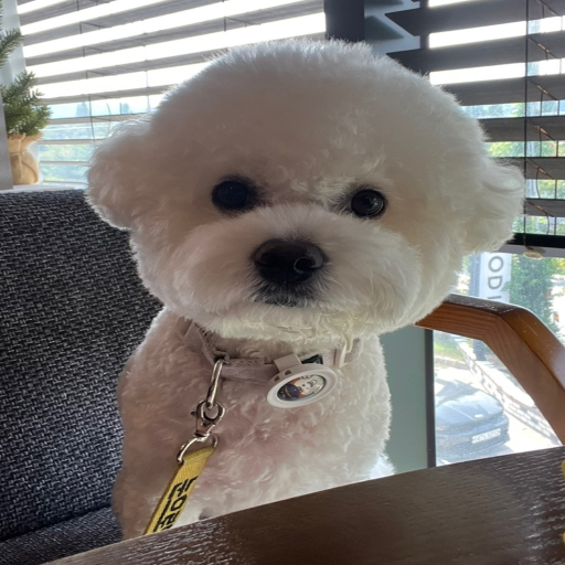 유저 프로필 이미지