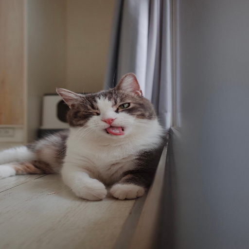 유저 프로필 이미지