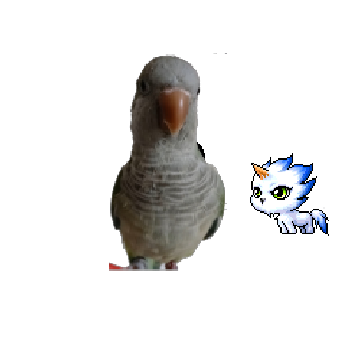 Avatar
