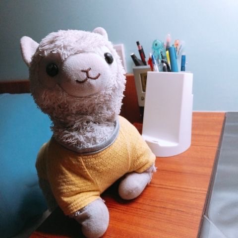 玩家個人簡介圖片