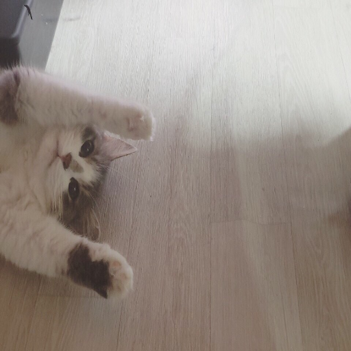 유저 프로필 이미지