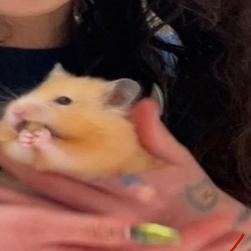 유저 프로필 이미지