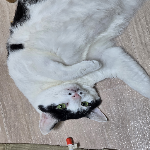 유저 프로필 이미지