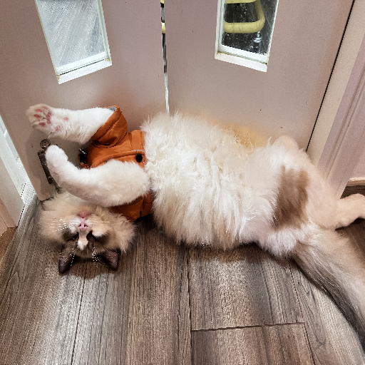 유저 프로필 이미지