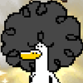 Imagen de perfil