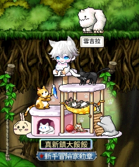 玩家個人簡介圖片