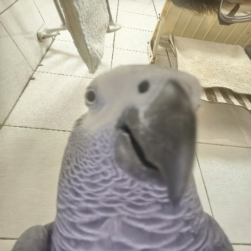 유저 프로필 이미지