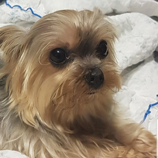 유저 프로필 이미지