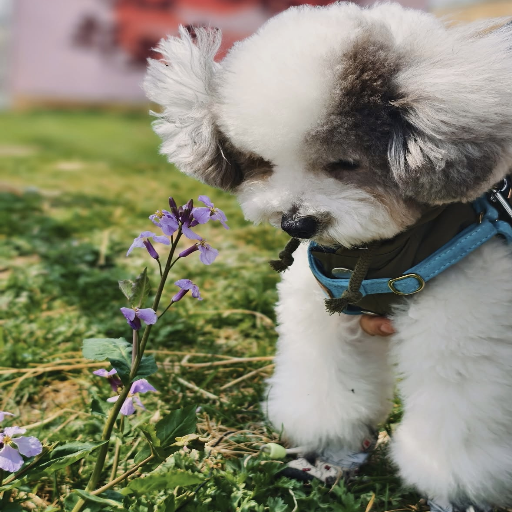 유저 프로필 이미지