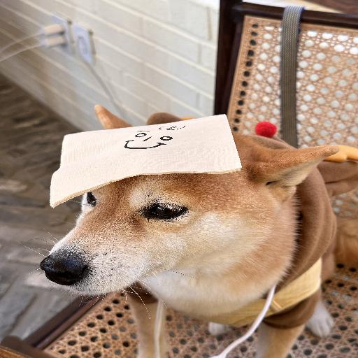 유저 프로필 이미지