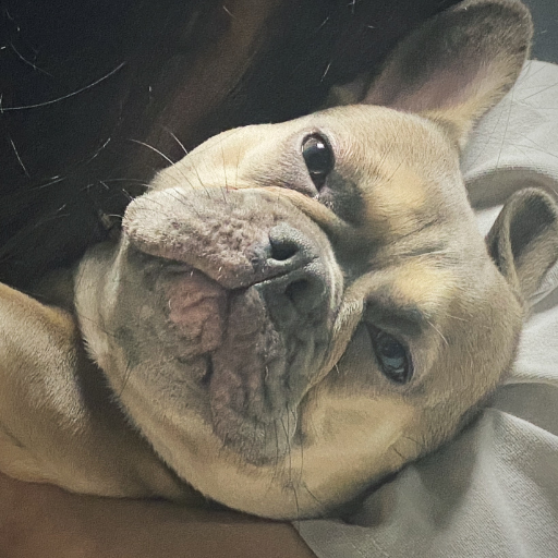 유저 프로필 이미지