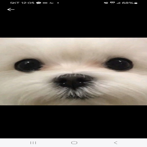 유저 프로필 이미지