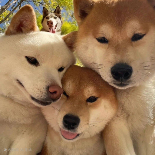 유저 프로필 이미지