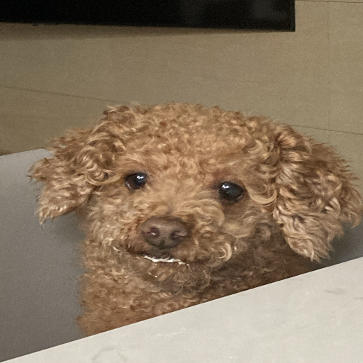 유저 프로필 이미지