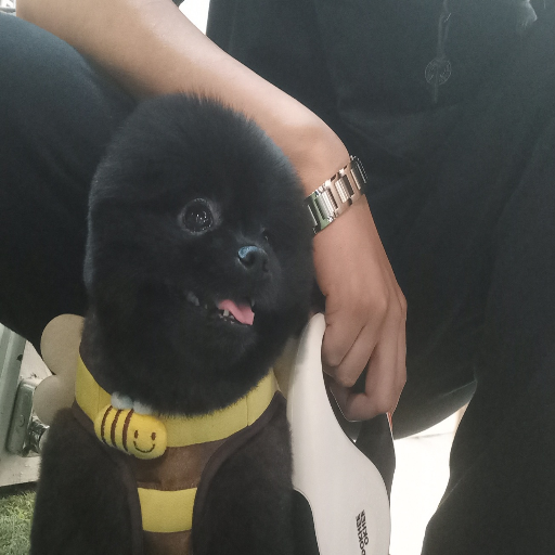 유저 프로필 이미지