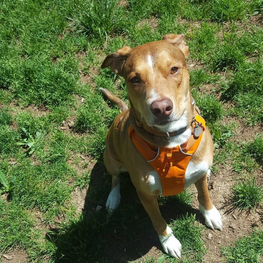 유저 프로필 이미지