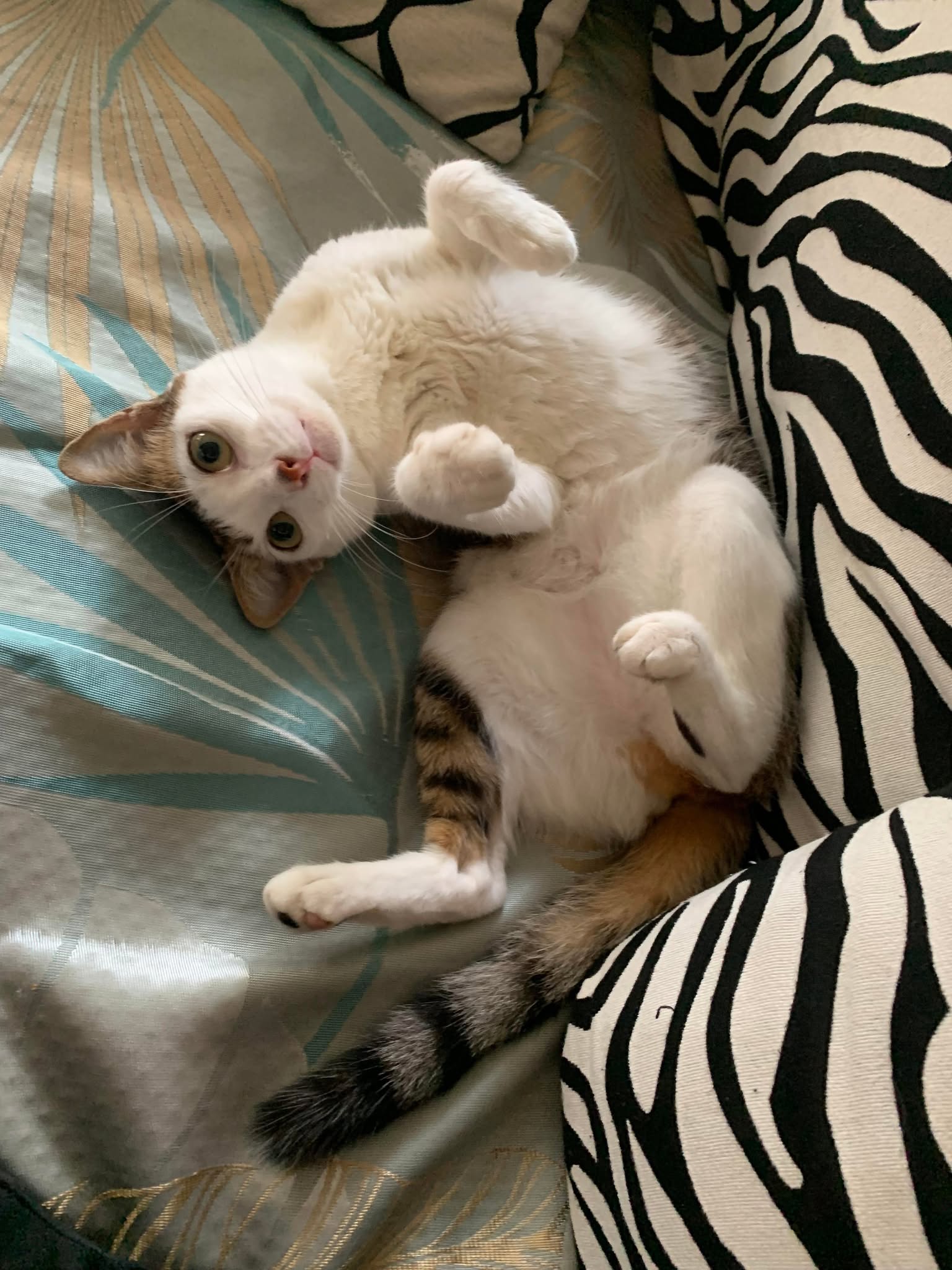 유저 프로필 이미지