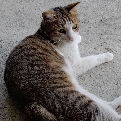 유저 프로필 이미지