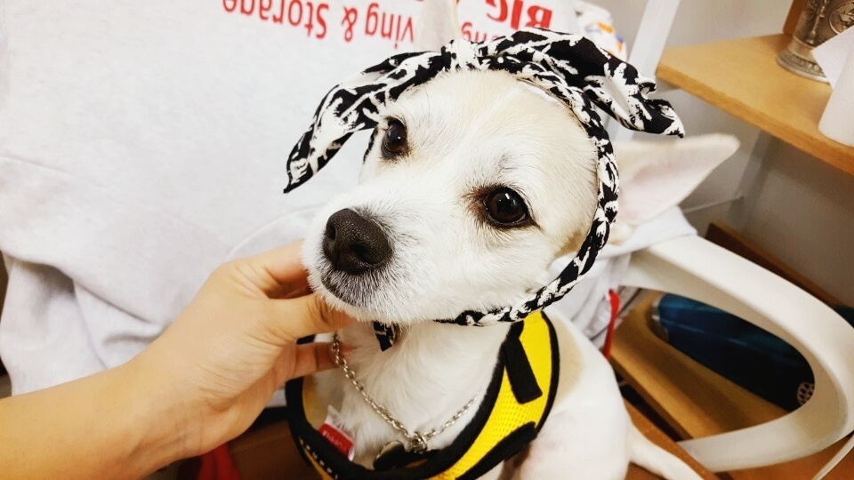 유저 프로필 이미지