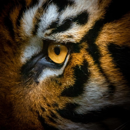 유저 프로필 이미지