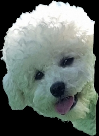 玩家個人簡介圖片