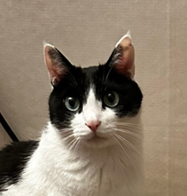 유저 프로필 이미지