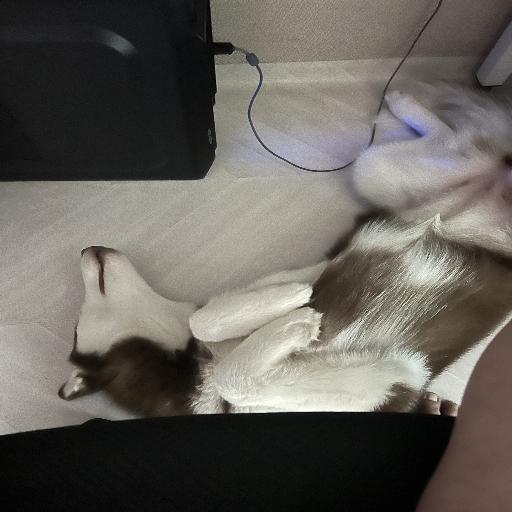 유저 프로필 이미지