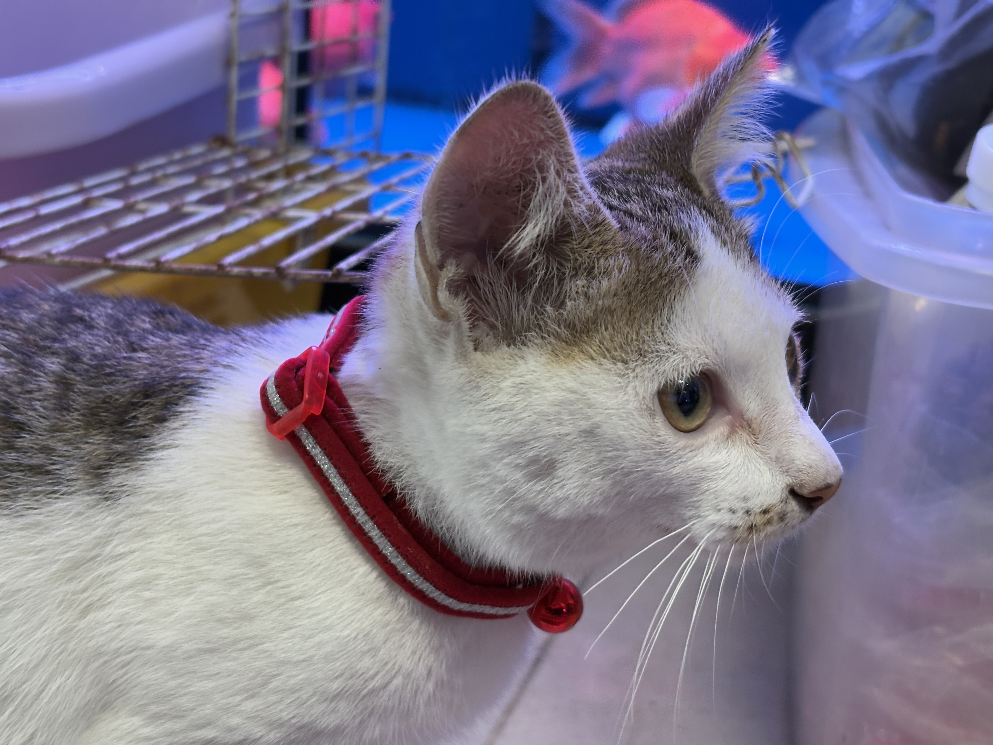 유저 프로필 이미지