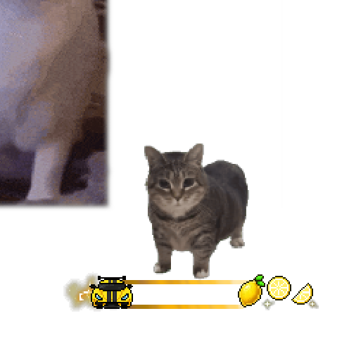 虚拟形象