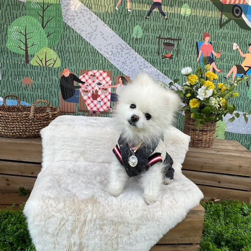 玩家個人簡介圖片