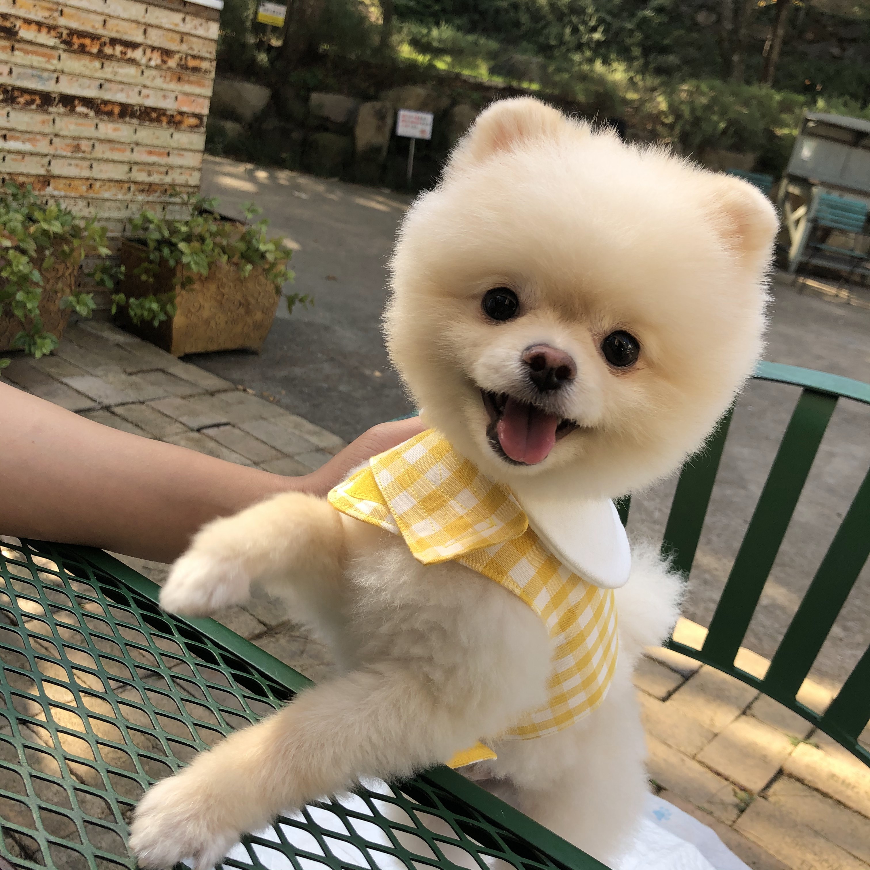 유저 프로필 이미지