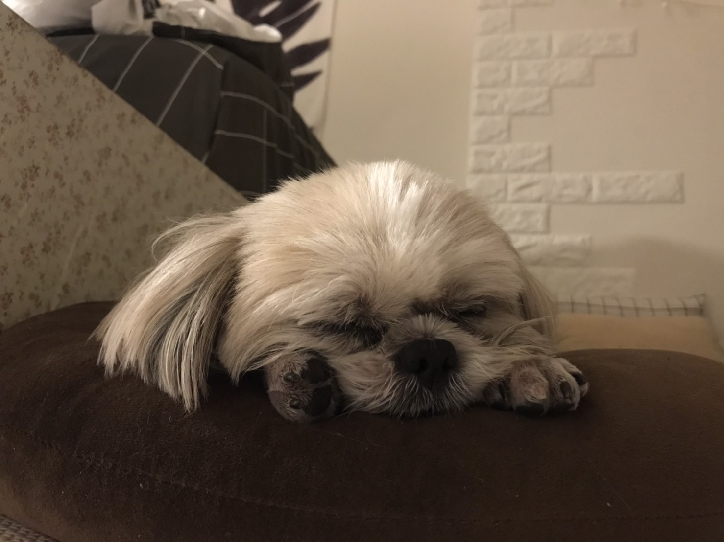 유저 프로필 이미지