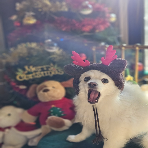 유저 프로필 이미지