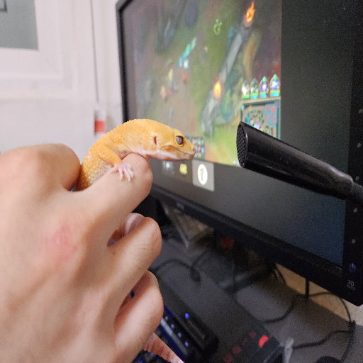 유저 프로필 이미지