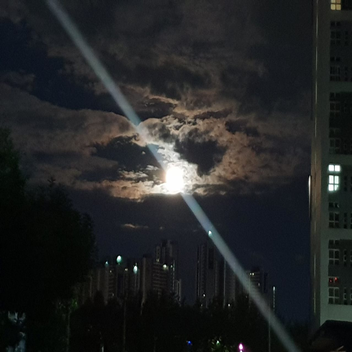 유저 프로필 이미지