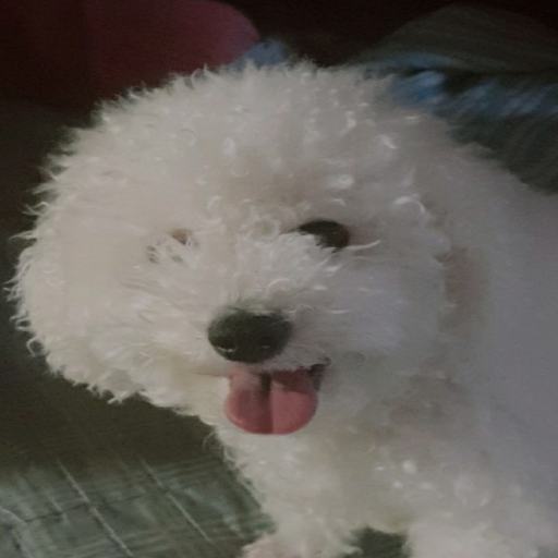 유저 프로필 이미지