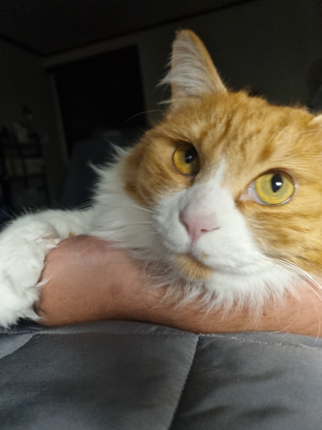 玩家個人簡介圖片