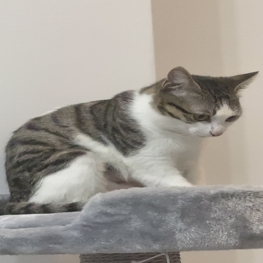 유저 프로필 이미지