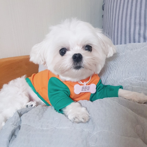 유저 프로필 이미지