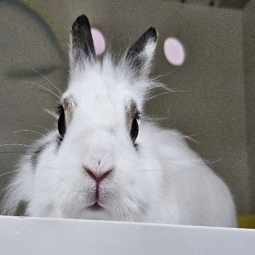 유저 프로필 이미지